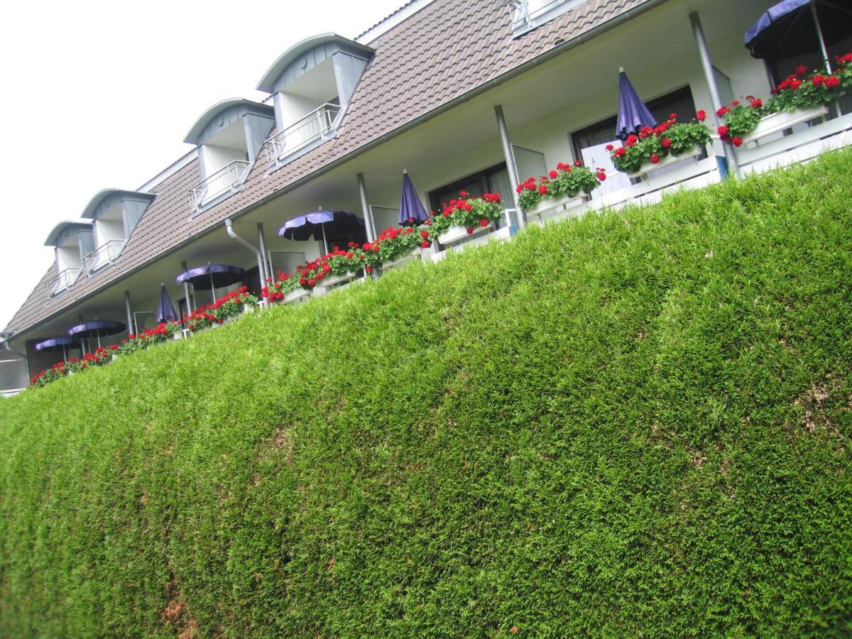 Hotel Zum Rosenteich Бад Цвишенан Екстериор снимка